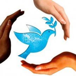 Meet your Posher, Ivee